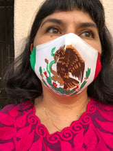 Load image into Gallery viewer, Mexican Flag Face Mask 2 sizes